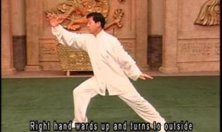 太极拳老架一路教学