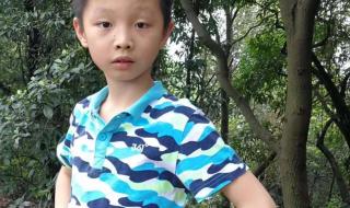 我是一只小虫子课文