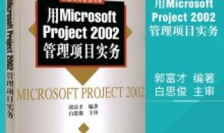 项目管理软件project