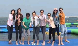 女排队员的名单介绍