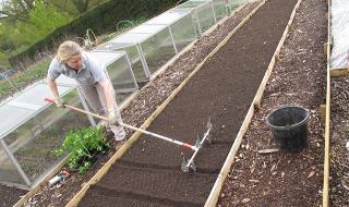油锯需要多少钱一台