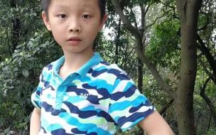 《我是一只小虫子》教学反思 我是一只小虫子课文